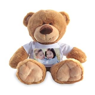 Teddy Bear: A brown teddy bear wearing a miniature t-shirt personalized with a photo of two children.