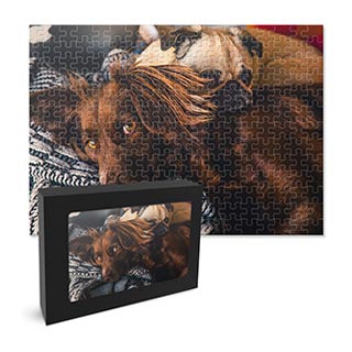 Puzzles: A completed jigsaw puzzle of two dogs, shown with its storage box.