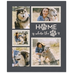 50x60 Fleece Blanket with Where the Paw is design